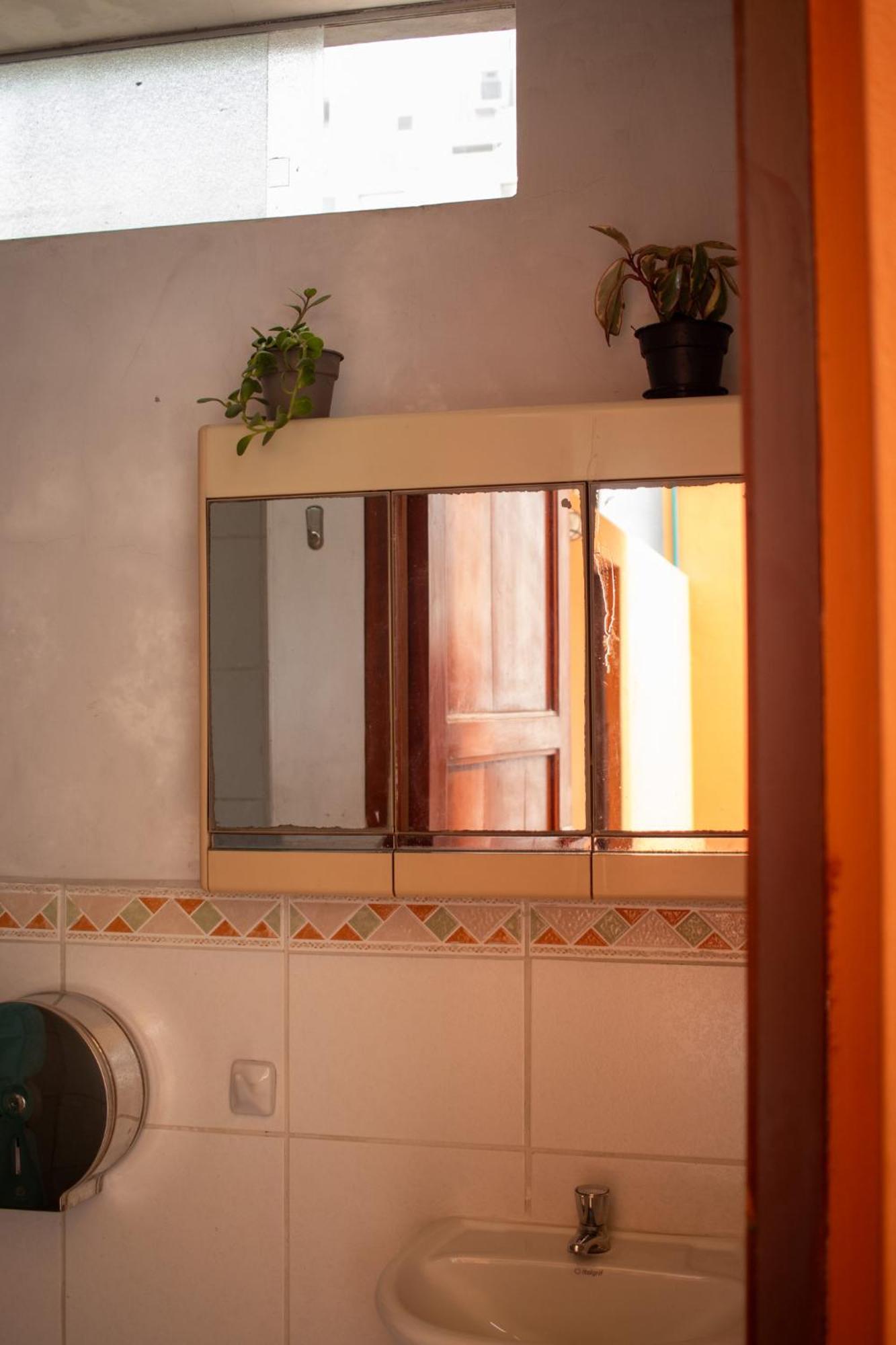Auberge de jeunesse Temazcal