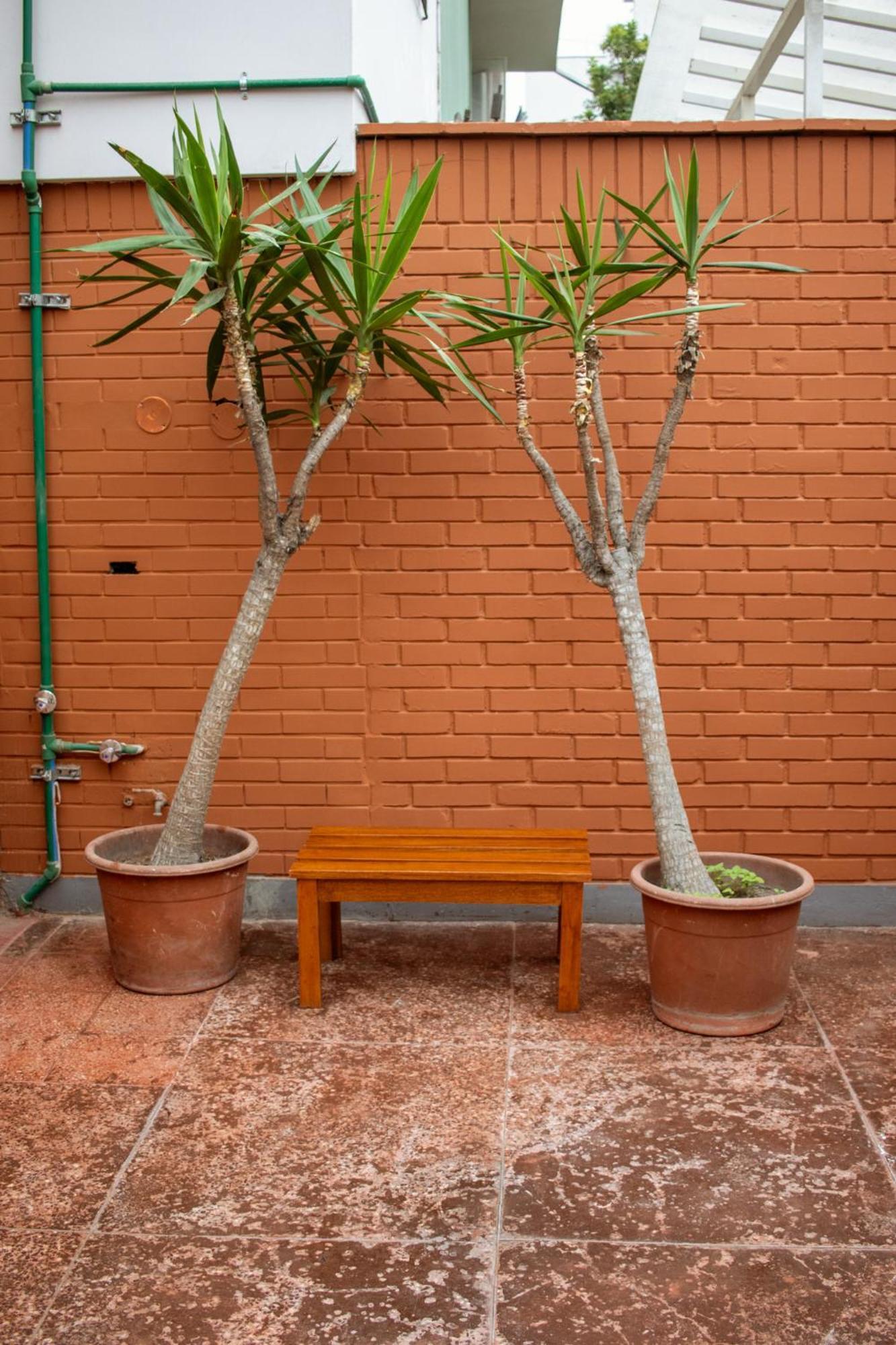 Temazcal Auberge de jeunesse Lima