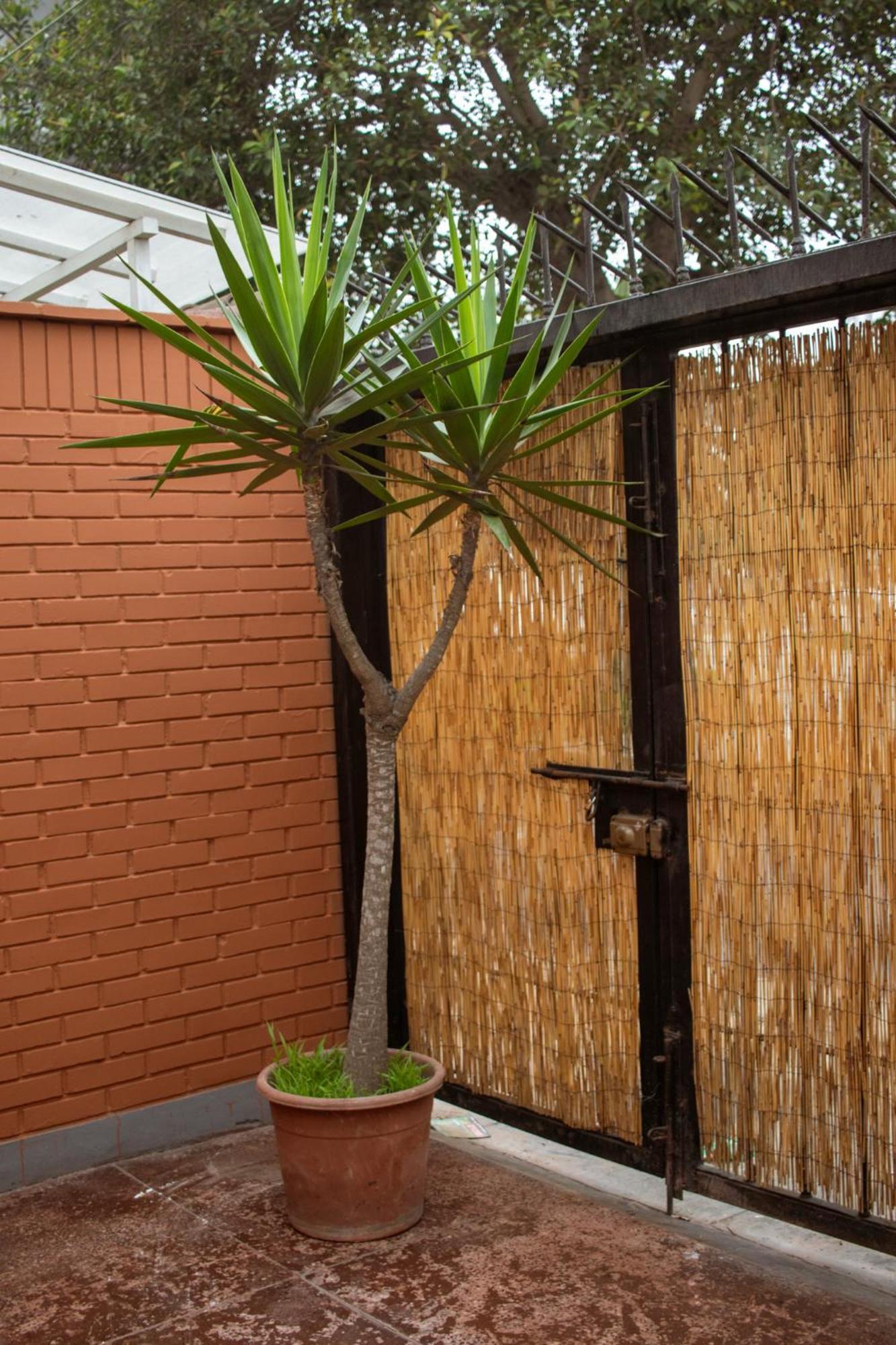 Temazcal Hostal *