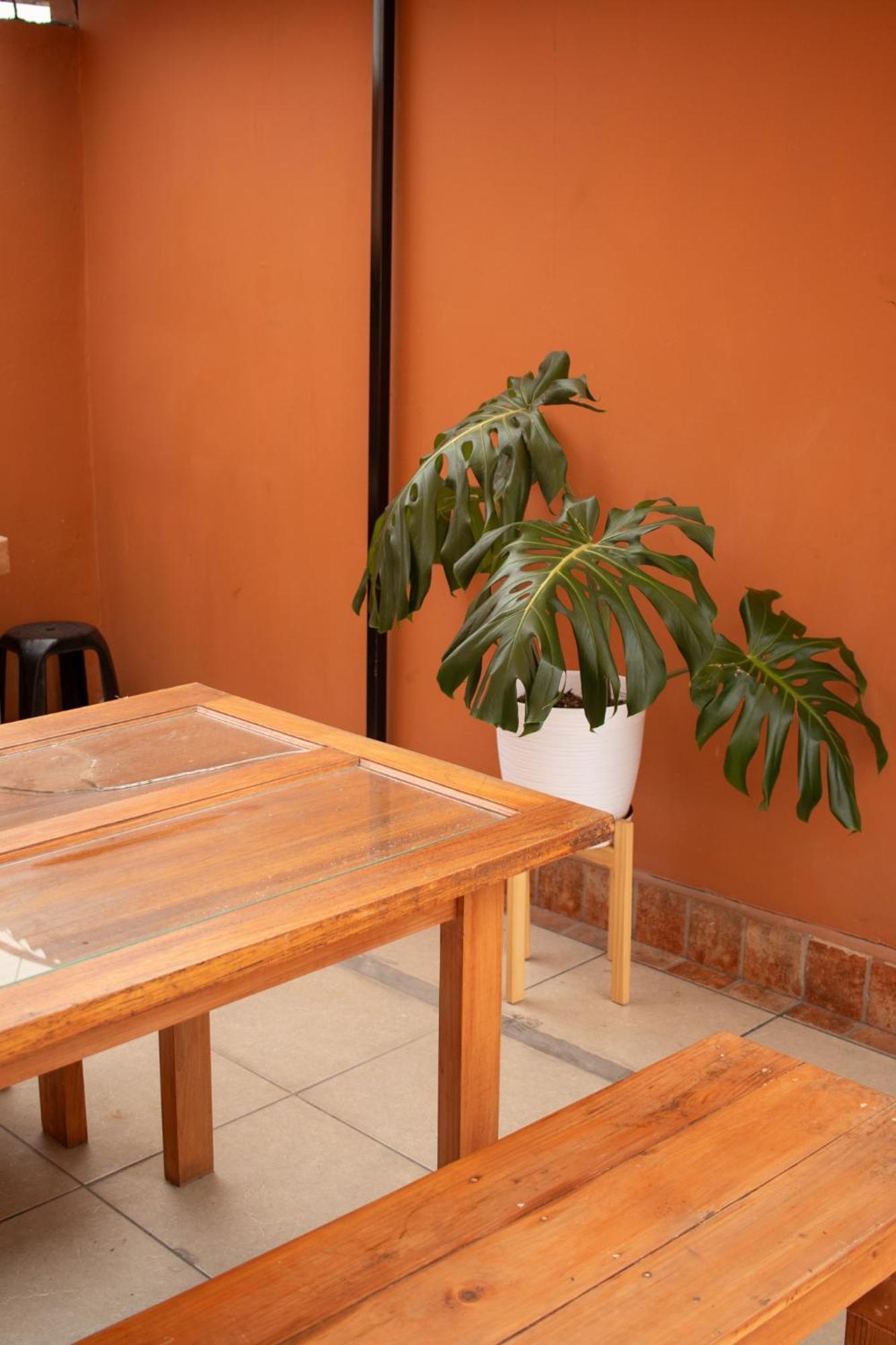 Temazcal Hostal
